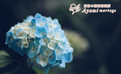 沈黙を怖がらないで 沈黙は 天使が通る時間 京都の結婚相談所あゆみマリアージュ